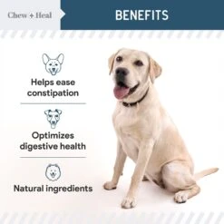 Chew + Heal Digestive Enzymes & Probiotics Supplement For Dogs 10 Chew + Heal Digestive Enzymes & Probiotics Supplement For Dogs -Pet Wellness 280566 PT2. AC SS1800 V1686337947