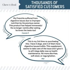 Chew + Heal Digestive Enzymes & Probiotics Supplement For Dogs 11 Chew + Heal Digestive Enzymes & Probiotics Supplement For Dogs -Pet Wellness 280566 PT3. AC SS1800 V1686337950