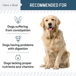 Chew + Heal Digestive Enzymes & Probiotics Supplement For Dogs 12 Chew + Heal Digestive Enzymes & Probiotics Supplement For Dogs -Pet Wellness 280566 PT4. AC SS1800 V1686337997