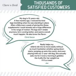 Chew + Heal Senior Hip & Joint Dog Supplement -Pet Wellness 280572 PT3. AC SS1800 V1685629502