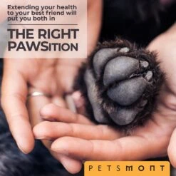 Petsmont Organic Touch & Heal Dog Paw Balm, 2-oz Jar -Pet Wellness 285009 PT4. AC SS1800 V1618963348