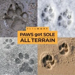 Petsmont Organic Touch & Heal Dog Paw Balm, 2-oz Jar -Pet Wellness 285009 PT5. AC SS1800 V1618962762
