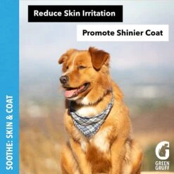 Green Gruff Soothe Skin & Coat Health Salmon Flavor Soft Chew Dog Supplement -Pet Wellness 286347 PT2. AC SS1800 V1619818322