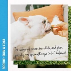 Green Gruff Soothe Skin & Coat Health Salmon Flavor Soft Chew Dog Supplement -Pet Wellness 286347 PT5. AC SS1800 V1619818641