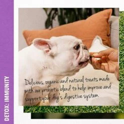 Green Gruff Detox Immunity Support Chicken Liver Flavor Soft Chew Dog Supplement -Pet Wellness 286350 PT5. AC SS1800 V1619818650