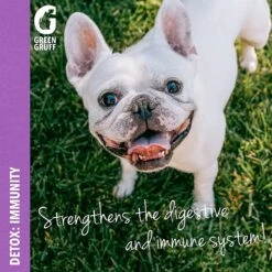 Green Gruff Detox Immunity Support Chicken Liver Flavor Soft Chew Dog Supplement -Pet Wellness 286350 PT7. AC SS1800 V1619818652