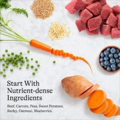 American Journey Beef & Vegetables Recipe Canned Dog Food -Pet Wellness 286577 PT6. AC SS1800 V1696608321