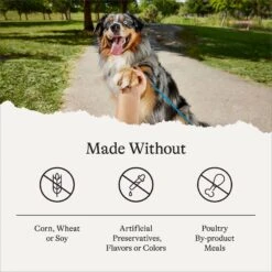 American Journey Beef & Vegetables Recipe Canned Dog Food -Pet Wellness 286577 PT7. AC SS1800 V1696608322