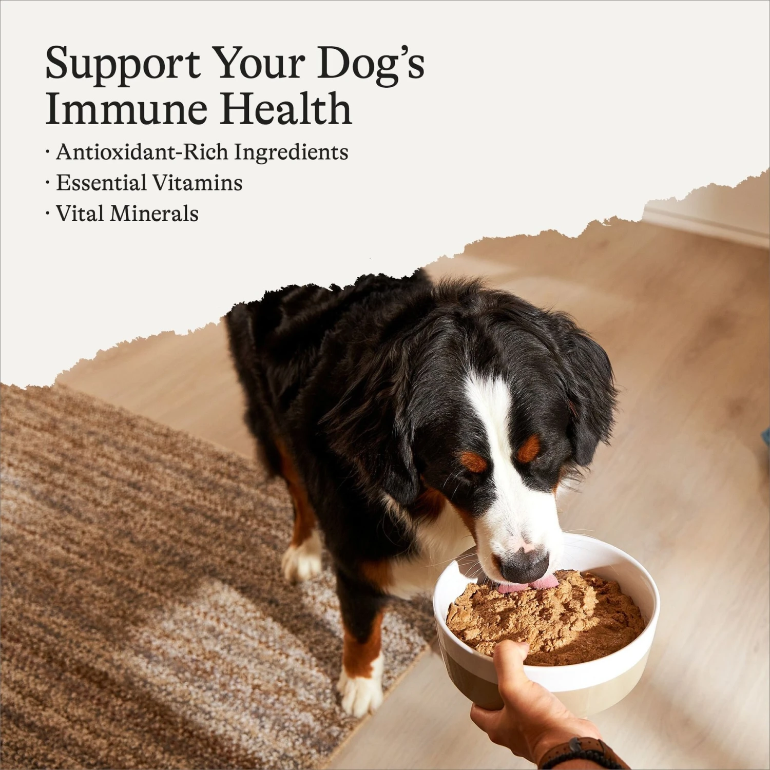 American Journey Beef Recipe Grain-Free Canned Dog Food 2 American Journey Beef Recipe Grain-Free Canned Dog Food - Image 2