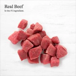 American Journey Beef Recipe Grain-Free Canned Dog Food 13 American Journey Beef Recipe Grain-Free Canned Dog Food -Pet Wellness 287343 PT4. AC SS1800 V1696608383