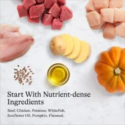 American Journey Beef Recipe Grain-Free Canned Dog Food 15 American Journey Beef Recipe Grain-Free Canned Dog Food -Pet Wellness 287343 PT6. AC SS1800 V1696608331