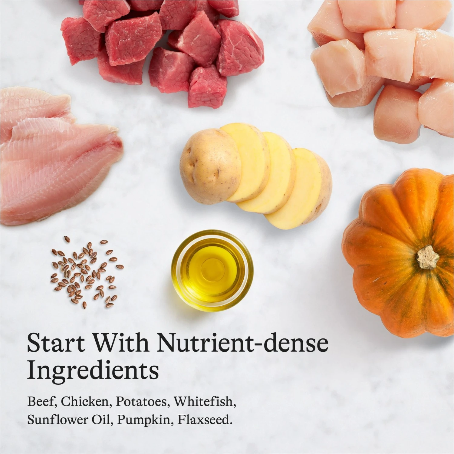 American Journey Beef Recipe Grain-Free Canned Dog Food 7 American Journey Beef Recipe Grain-Free Canned Dog Food - Image 7