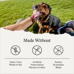 American Journey Beef Recipe Grain-Free Canned Dog Food 16 American Journey Beef Recipe Grain-Free Canned Dog Food -Pet Wellness 287343 PT7. AC SS1800 V1696608322