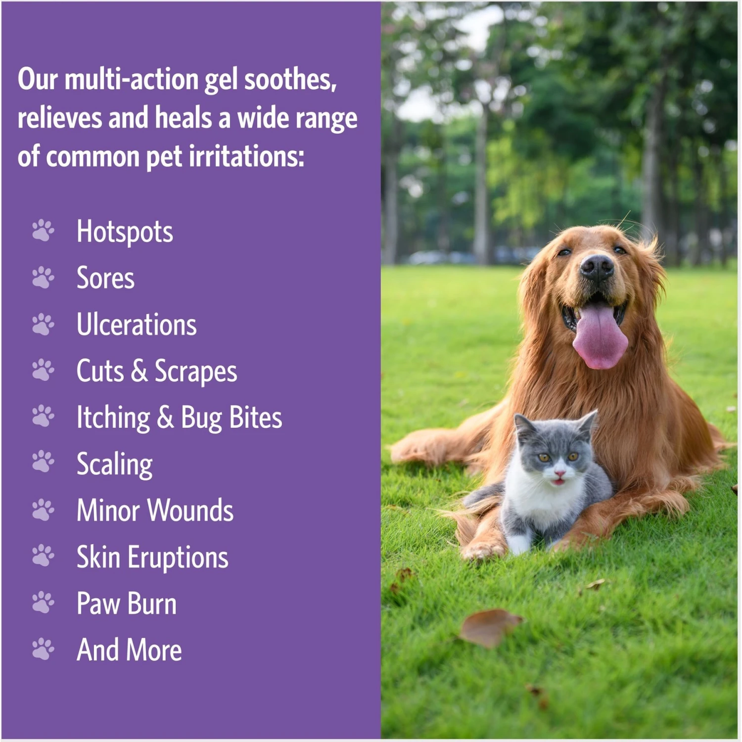 Sovereign Silver Pets First Aid Gel For Dogs & Cats, 1-oz Bottle 3 Sovereign Silver Pets First Aid Gel For Dogs & Cats, 1-oz Bottle - Image 3