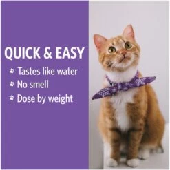 Sovereign Silver Pets Daily+ Immune Support Bio-Active Silver Hydrosol Small Dog & Cat Supplement -Pet Wellness 289053 PT6. AC SS1800 V1689789818