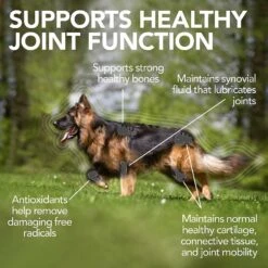 Vet's Best Advanced Chewable Tablets Joint Supplement For Dogs & Vet's Best Aches + Pains Vet Formulated For Dog Occasional Discomfort Hip & Joint Support Chew Supplement For Dogs -Pet Wellness 289281 PT3. AC SS1800 V1618611417