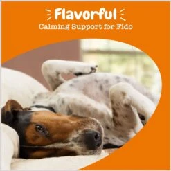 Zesty Paws Calming Flavor Infusions Fish Oil Chicken Flavored Liquid Topper Composure Supplement For Dogs -Pet Wellness 289511 PT3. AC SS1800 V1697032128