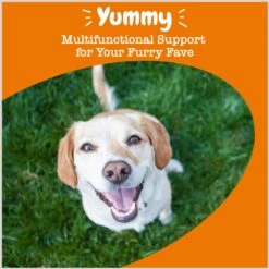 Zesty Paws 8-in-1 Flavor Infusions Fish Oil Chicken Flavored Liquid Topper Multivitamin For Dogs -Pet Wellness 289513 PT3. AC SS1800 V1696961127