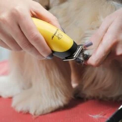 ConairPROPET Dog Palm Pro Micro-Trimmer Replacement Blade -Pet Wellness 290226 PT4. AC SS1800 V1650013301
