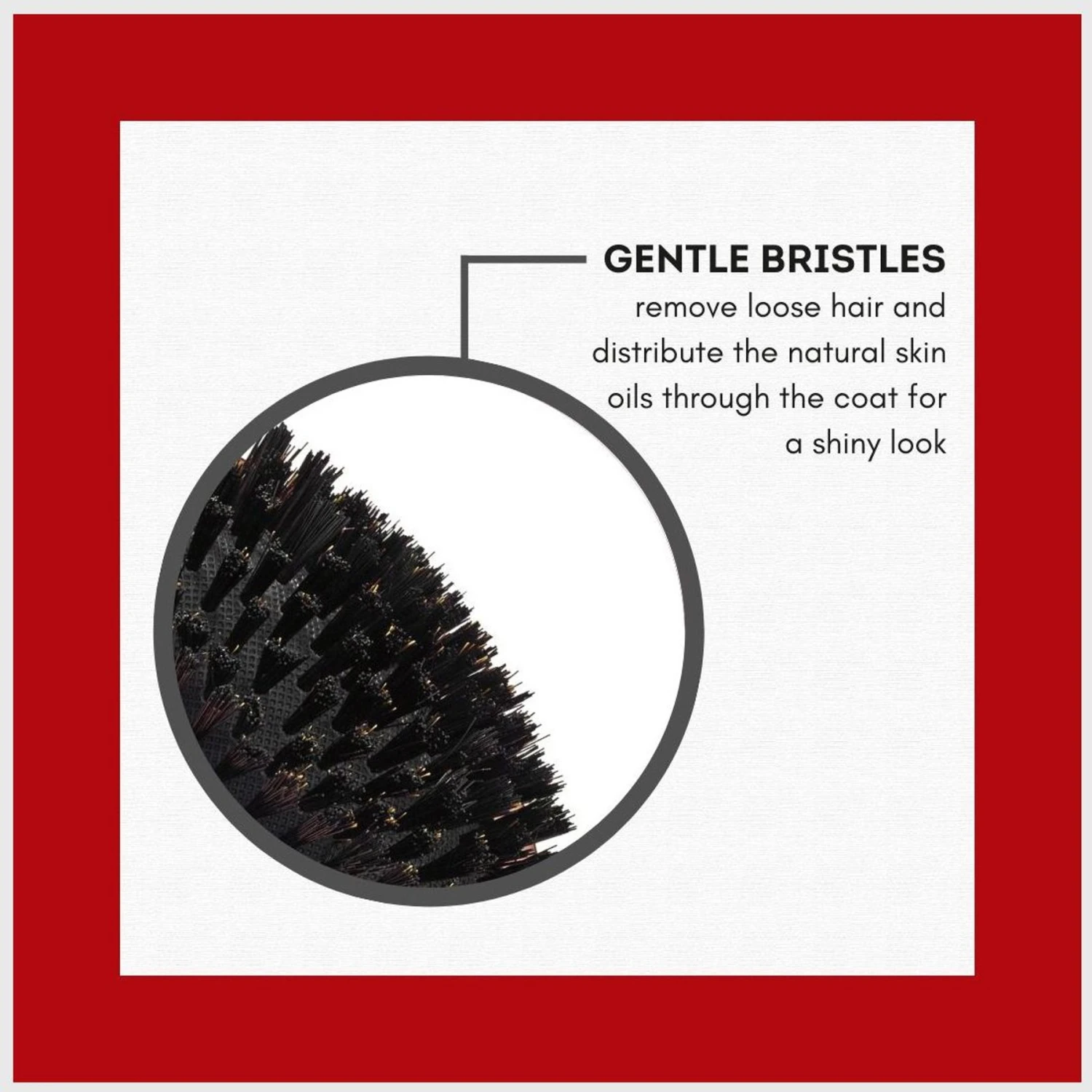 Babyliss Pro Pet Rose Gold Bristle Dog Grooming Brush 4 Babyliss Pro Pet Rose Gold Bristle Dog Grooming Brush - Image 4