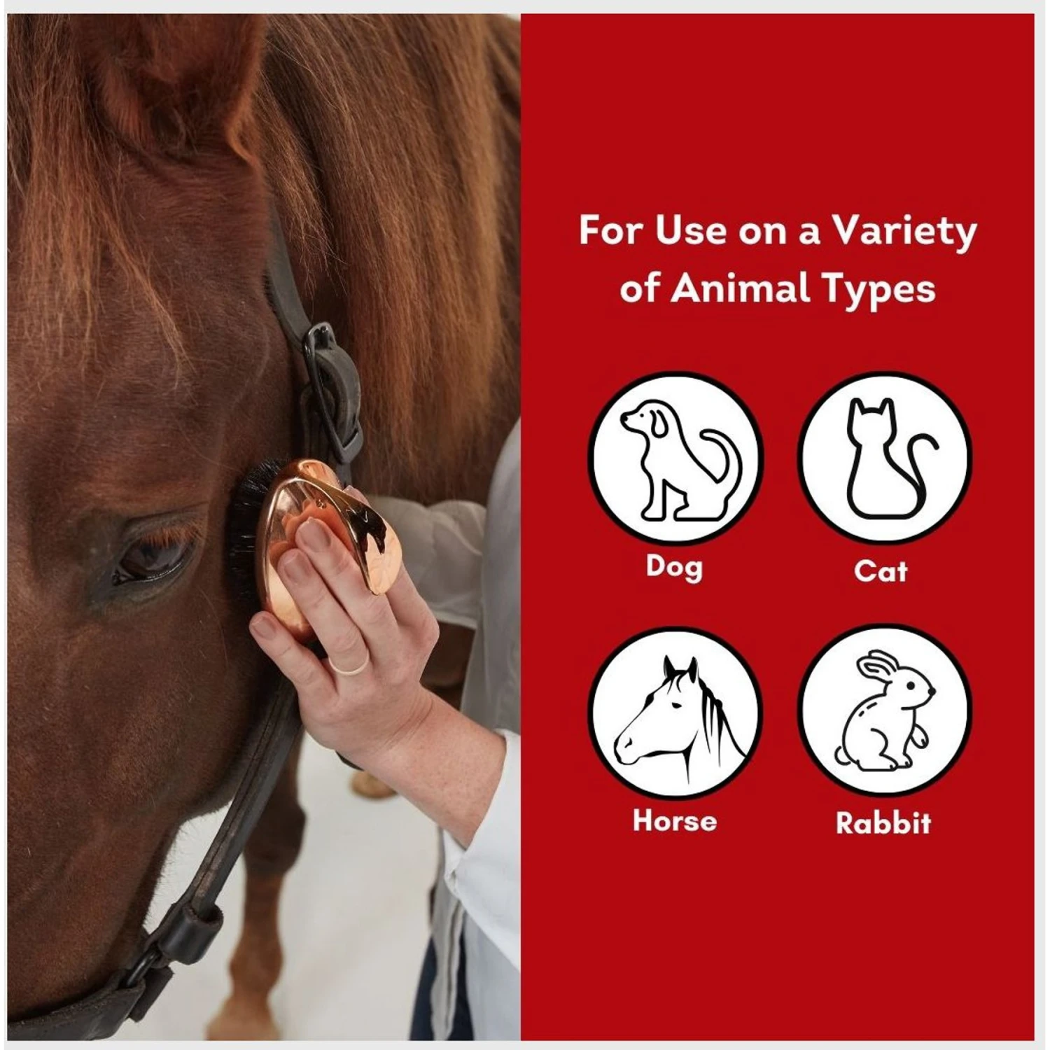 Babyliss Pro Pet Rose Gold Bristle Dog Grooming Brush 5 Babyliss Pro Pet Rose Gold Bristle Dog Grooming Brush - Image 5