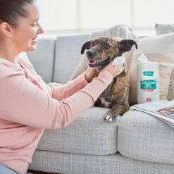 Frisco Gentle Cleaning Waterless Grooming Wipes For Puppies & Kittens, Green Tea Scent -Pet Wellness 291592 PT4. AC SS1800 V1627306695