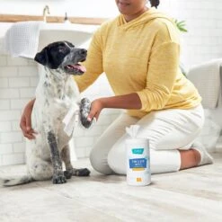 Frisco Deodorizing Paw & Bum Waterless Grooming Wipes For Dogs & Cats 10 Frisco Deodorizing Paw & Bum Waterless Grooming Wipes For Dogs & Cats -Pet Wellness 291593 PT4. AC SS1800 V1627654025