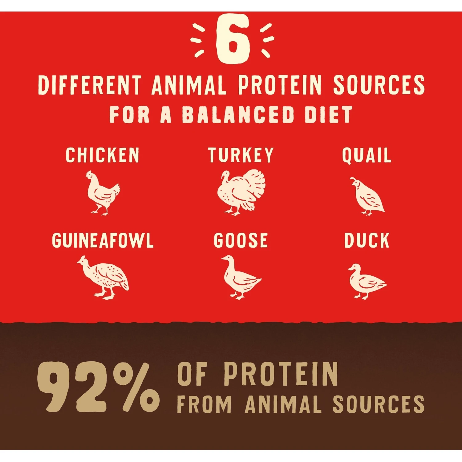 Stella & Chewy's Wild Red Raw Coated Kibble Grain-Free Prairie Recipe Dry Dog Food 6 Stella & Chewy's Wild Red Raw Coated Kibble Grain-Free Prairie Recipe Dry Dog Food - Image 6