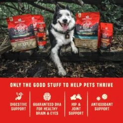 Stella & Chewy's Wild Red Raw Coated Kibble Grain-Free Prairie Recipe Dry Dog Food 16 Stella & Chewy's Wild Red Raw Coated Kibble Grain-Free Prairie Recipe Dry Dog Food -Pet Wellness 291614 PT7. AC SS1800 V1645557094