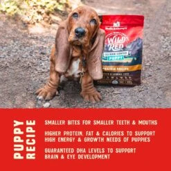 Stella & Chewy's Wild Red Raw Coated Kibble Puppy Grain-Free Prairie Recipe Dry Dog Food 15 Stella & Chewy's Wild Red Raw Coated Kibble Puppy Grain-Free Prairie Recipe Dry Dog Food -Pet Wellness 291624 PT6. AC SS1800 V1645585763