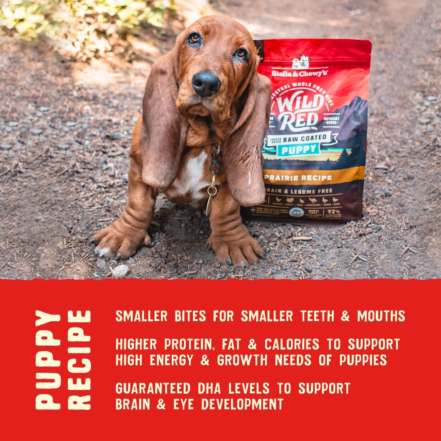 Stella & Chewy's Wild Red Raw Coated Kibble Puppy Grain-Free Prairie Recipe Dry Dog Food 7 Stella & Chewy's Wild Red Raw Coated Kibble Puppy Grain-Free Prairie Recipe Dry Dog Food - Image 7