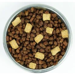 Stella & Chewy's Wild Red Raw Blend Kibble Wholesome Grains Red Meat Recipe Dry Dog Food -Pet Wellness 291647 PT4. AC SS1800 V1619849550