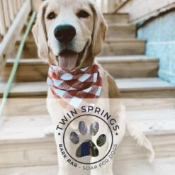 Twin Springs Bark Bar Vanilla Almond Scented Dog Soap Stick, 2.65-oz Bar -Pet Wellness 291992 PT2. AC SS1800 V1620170874