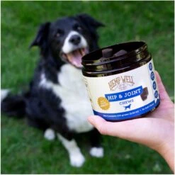 Hemp Well Hip & Joint Support Soft Chew Dog Supplement, 60 Count -Pet Wellness 292127 PT3. AC SS1800 V1700689515