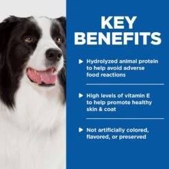 Hill's Prescription Diet Z/d Skin/Food Sensitivities Original Flavor Dry Dog Food & Hill's Prescription Diet Z/d Original Skin/Food Sensitivities Canned Dog Food -Pet Wellness 293152 PT6. AC SS1800 V1657656662