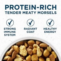 Purina ONE Natural Large Breed +Plus Formula Dry Dog Food & Milk-Bone Original Large Biscuit Dog Treats -Pet Wellness 293546 PT3. AC SS1800 V1620089839