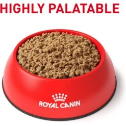 Royal Canin Veterinary Diet Adult Gastrointestinal Low Fat Loaf Canned Dog Food & Royal Canin Veterinary Diet Adult Gastrointestinal Low Fat Dry Dog Food -Pet Wellness 293818 PT3. AC SS1800 V1694097921