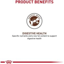 Royal Canin Veterinary Diet Adult Gastrointestinal Low Fat Dry Dog Food & Royal Canin Veterinary Diet Adult Gastrointestinal Dog Treats 12 Royal Canin Veterinary Diet Adult Gastrointestinal Low Fat Dry Dog Food & Royal Canin Veterinary Diet Adult Gastrointestinal Dog Treats -Pet Wellness 293820 PT4. AC SS1800 V1620086223