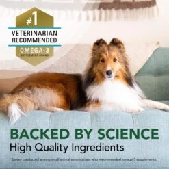 Nutramax Welactin Omega-3 Liquid Skin & Coat Supplement For Dogs -Pet Wellness 294384 PT5. AC SS1800 V1621609638