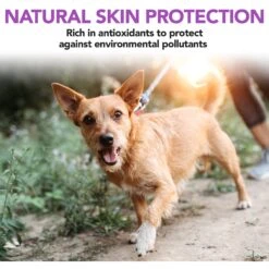 Vet's Best Healthy Skin & Coat Protection Brewer's Yeast & Garlic Flavored Chews Dog Supplement, 60 Count -Pet Wellness 294597 PT3. AC SS1800 V1620055623