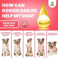 Doggie Dailies Wild Alaskan Salmon Oil Dog Supplement, 32-oz Bottle 13 Doggie Dailies Wild Alaskan Salmon Oil Dog Supplement, 32-oz Bottle -Pet Wellness 294599 PT5. AC SS1800 V1620055354