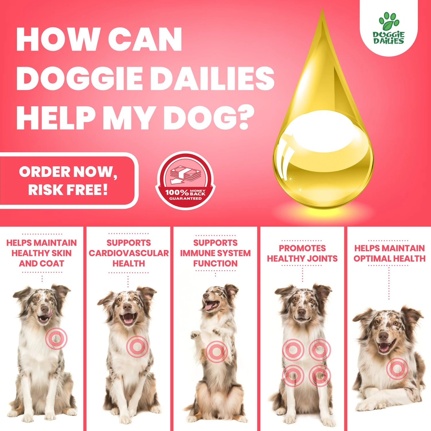 Doggie Dailies Wild Alaskan Salmon Oil Dog Supplement, 32-oz Bottle 6 Doggie Dailies Wild Alaskan Salmon Oil Dog Supplement, 32-oz Bottle - Image 6