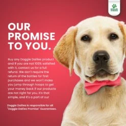 Doggie Dailies Wild Alaskan Salmon Oil Dog Supplement, 32-oz Bottle 14 Doggie Dailies Wild Alaskan Salmon Oil Dog Supplement, 32-oz Bottle -Pet Wellness 294599 PT6. AC SS1800 V1620055345