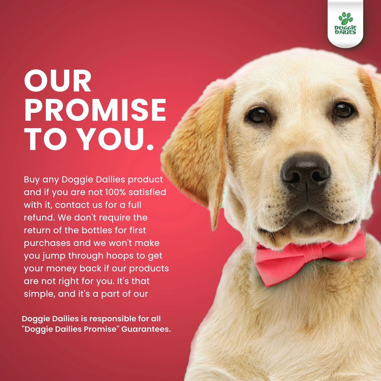 Doggie Dailies Wild Alaskan Salmon Oil Dog Supplement, 32-oz Bottle 7 Doggie Dailies Wild Alaskan Salmon Oil Dog Supplement, 32-oz Bottle - Image 7