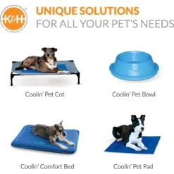 K&H Pet Products Dog Pool Canopy 15 K&H Pet Products Dog Pool Canopy -Pet Wellness 296518 PT7. AC SS1800 V1627948629
