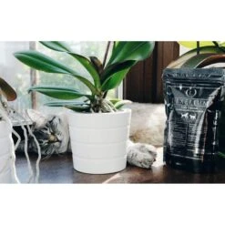 Lexelium Life-Optim Dog & Cat Supplement, 7-oz Bag -Pet Wellness 296918 PT6. AC SS1800 V1621030990