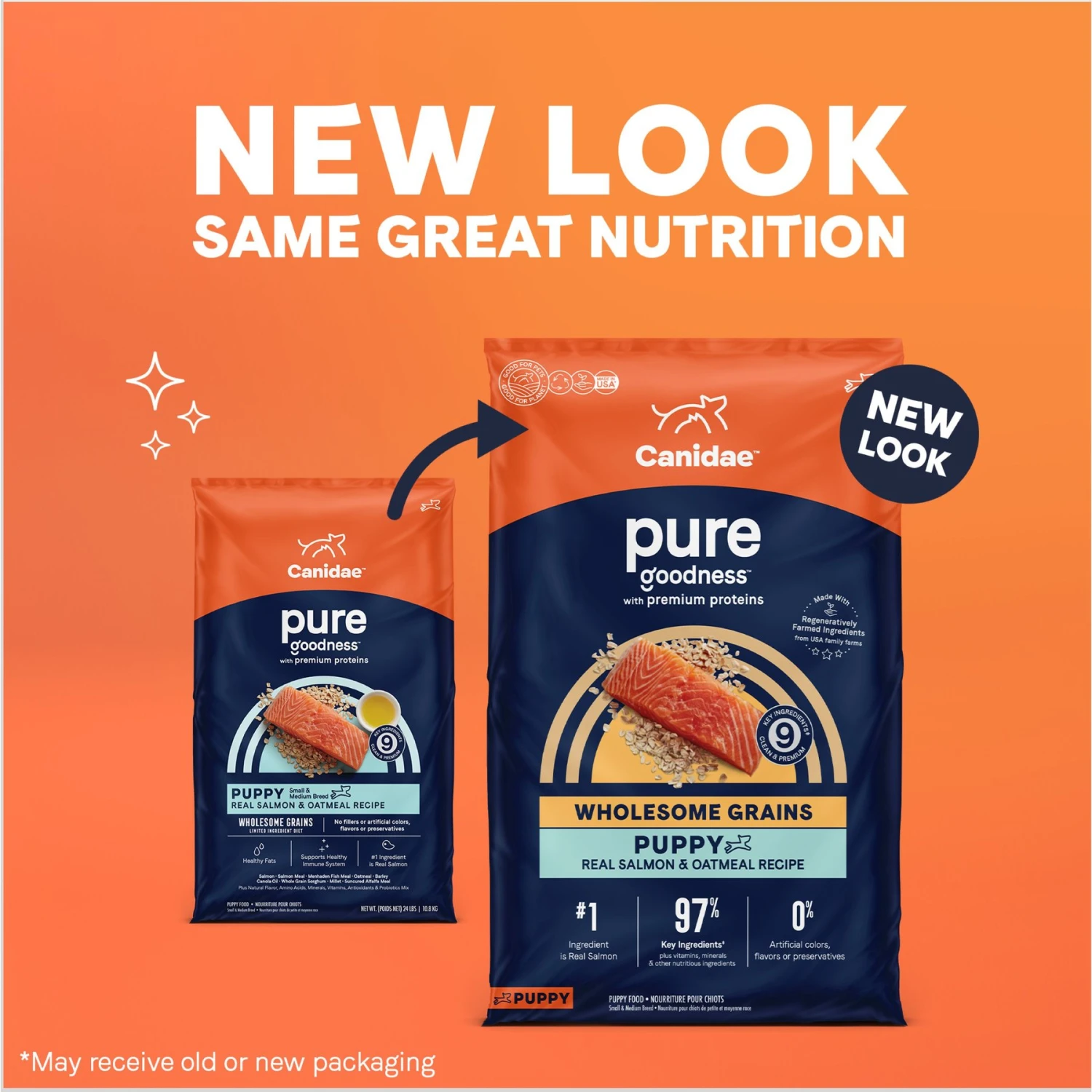 CANIDAE PURE With Wholesome Grains Limited Ingredient Real Salmon & Oatmeal Recipe Puppy Dry Dog Food 2 CANIDAE PURE With Wholesome Grains Limited Ingredient Real Salmon & Oatmeal Recipe Puppy Dry Dog Food - Image 2