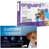 Capstar Flea Oral Treatment For Dogs, 2-25 Lbs & Onguard Plus Flea & Tick Spot Treatment For Dogs, 5-22 Lbs