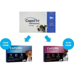 Capstar Flea Oral Treatment For Dogs, 2-25 Lbs & Elanco Dewormer For Tapeworms For Dogs 13 Capstar Flea Oral Treatment For Dogs, 2-25 Lbs & Elanco Dewormer For Tapeworms For Dogs -Pet Wellness 297860 PT4. AC SS1800 V1640039482