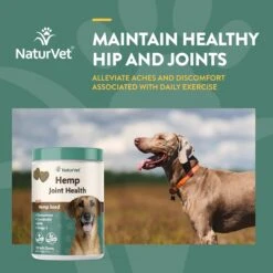 NaturVet Hemp Quiet Moments Soft Chews Calming Supplement For Dogs & NaturVet Hemp Soft Chews Joint Supplement For Dogs -Pet Wellness 298284 PT5. AC SS1800 V1675892292